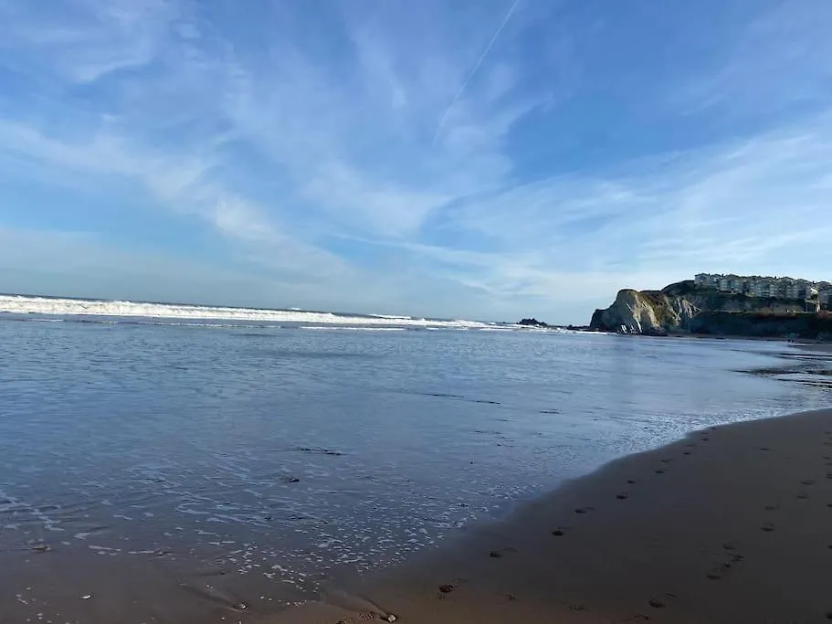 Apartamento Piso Sopela Playas 0*, Sopelana